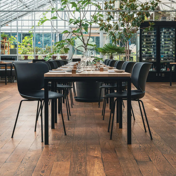 Hana Dining Chair (Set of 2) Chairs Moooi