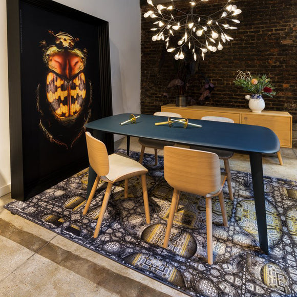 Nut Dining Chair Chairs Moooi