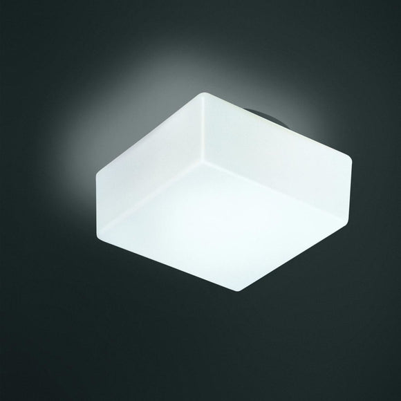 Matrix Wall or Ceiling Light Lighting Fixtures NEMO