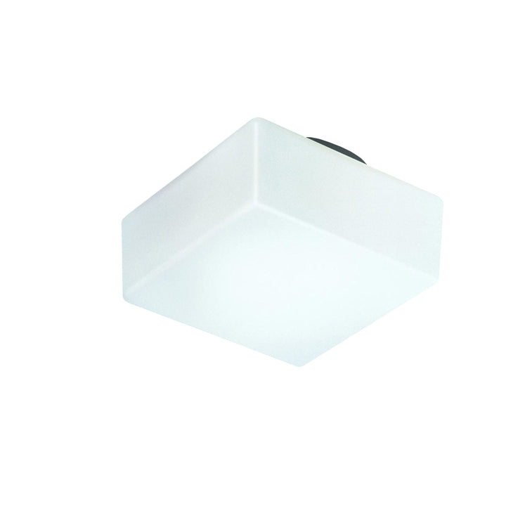 Matrix Wall or Ceiling Light Lighting Fixtures NEMO Small: 7 in width Standard Bulb
