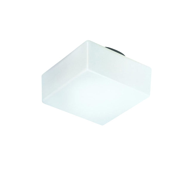 Matrix Wall or Ceiling Light Lighting Fixtures NEMO