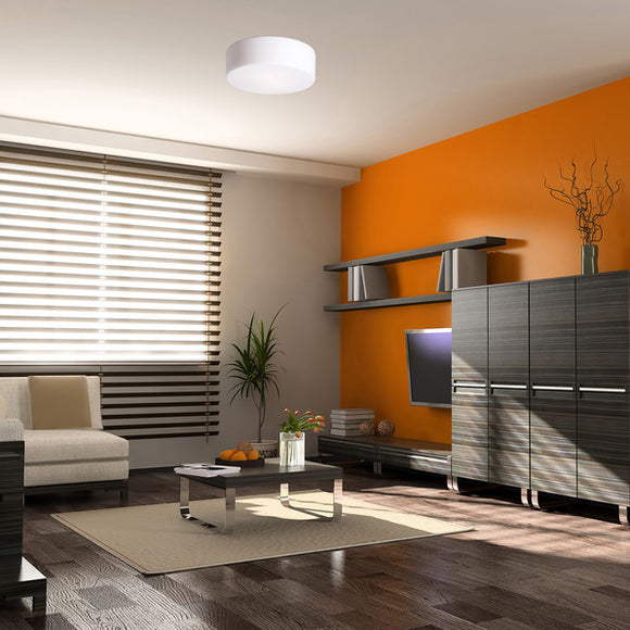 Tango Wall or Ceiling Light Lighting Fixtures NEMO