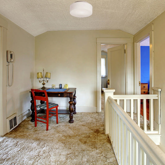 Tango Wall or Ceiling Light Lighting Fixtures NEMO