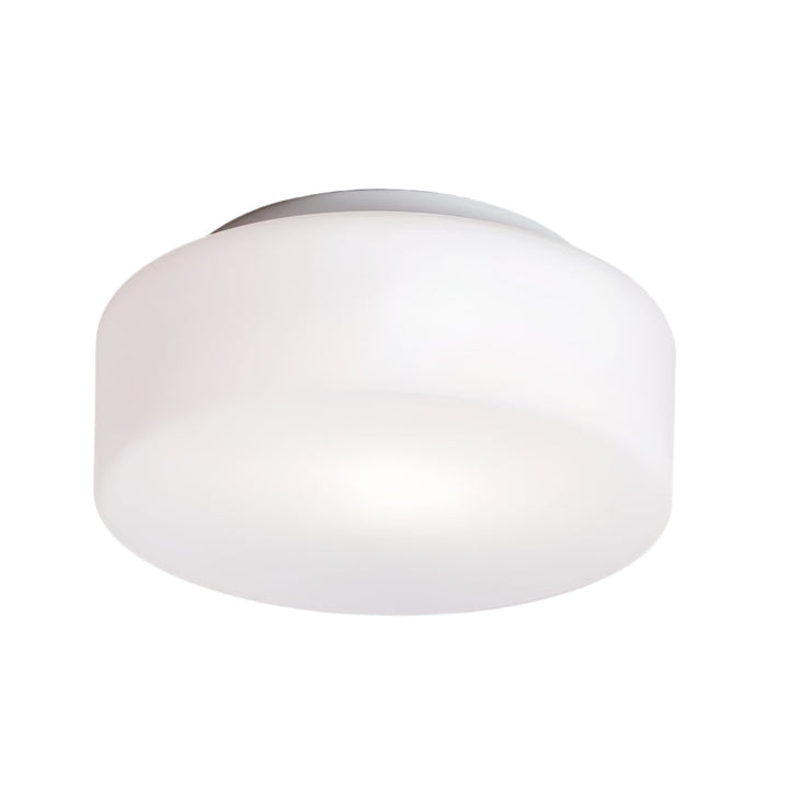 Tango Wall or Ceiling Light Lighting Fixtures NEMO 10 in Dia / Matte Glass / Standard Bulb
