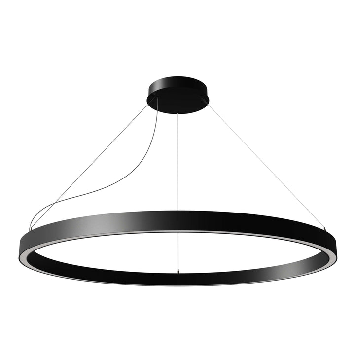Zirkol Circle LED Pendant Light Lighting NEMO Black Small: 39.4 in diameter Downlight / 2700K - Warm White