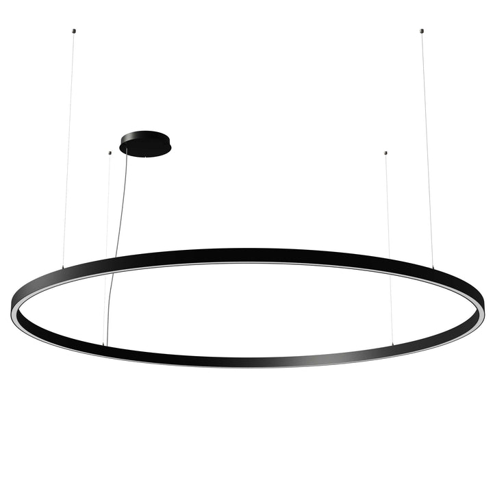 Zirkol Circle LED Pendant Light Lighting NEMO Black Large: 78.7 in diameter Downlight / 2700K - Warm White