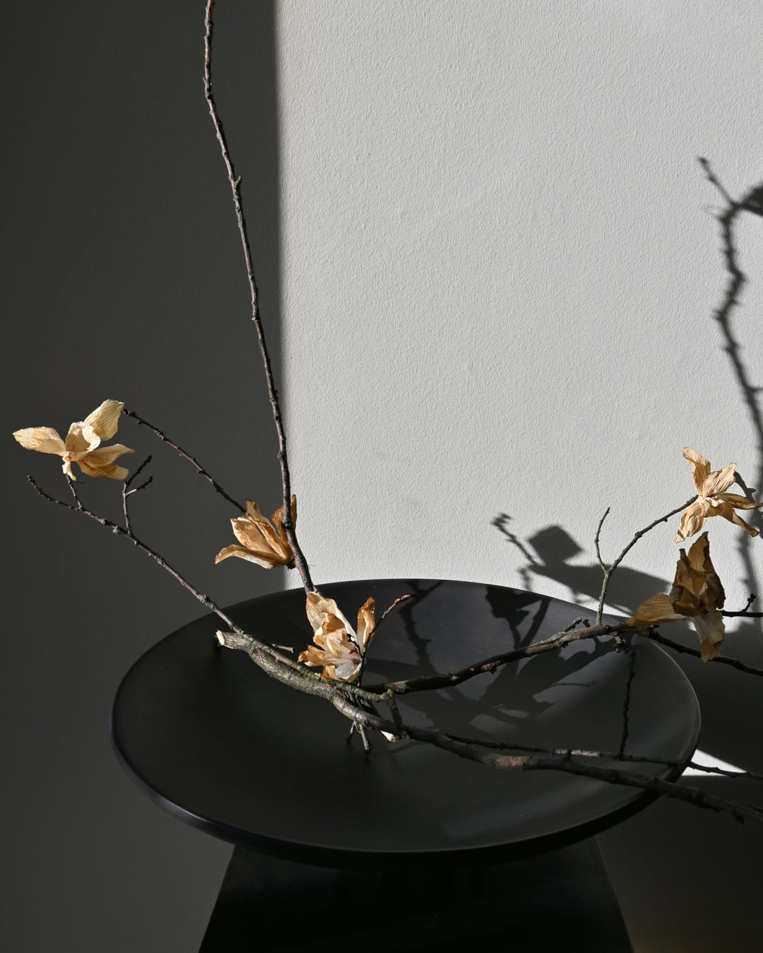 Medusa Tray, Big - Coffee Decorative Bowl 101 Copenhagen   