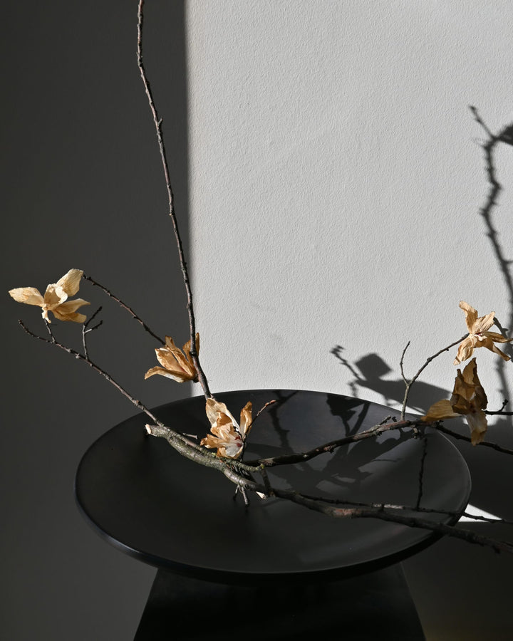 Medusa Tray, Big - Coffee Decorative Bowl 101 Copenhagen   