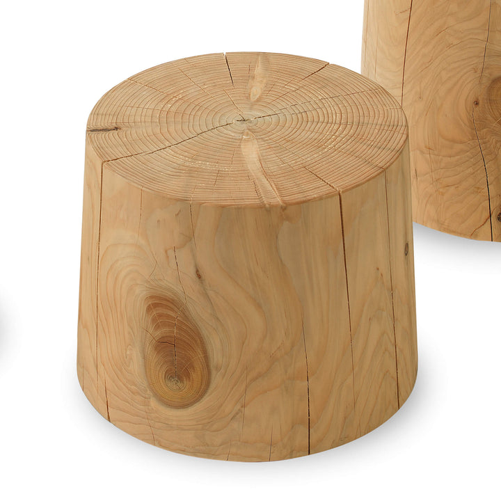 Legno Vivo Coffee Table Coffee & Side Tables Riva 1920