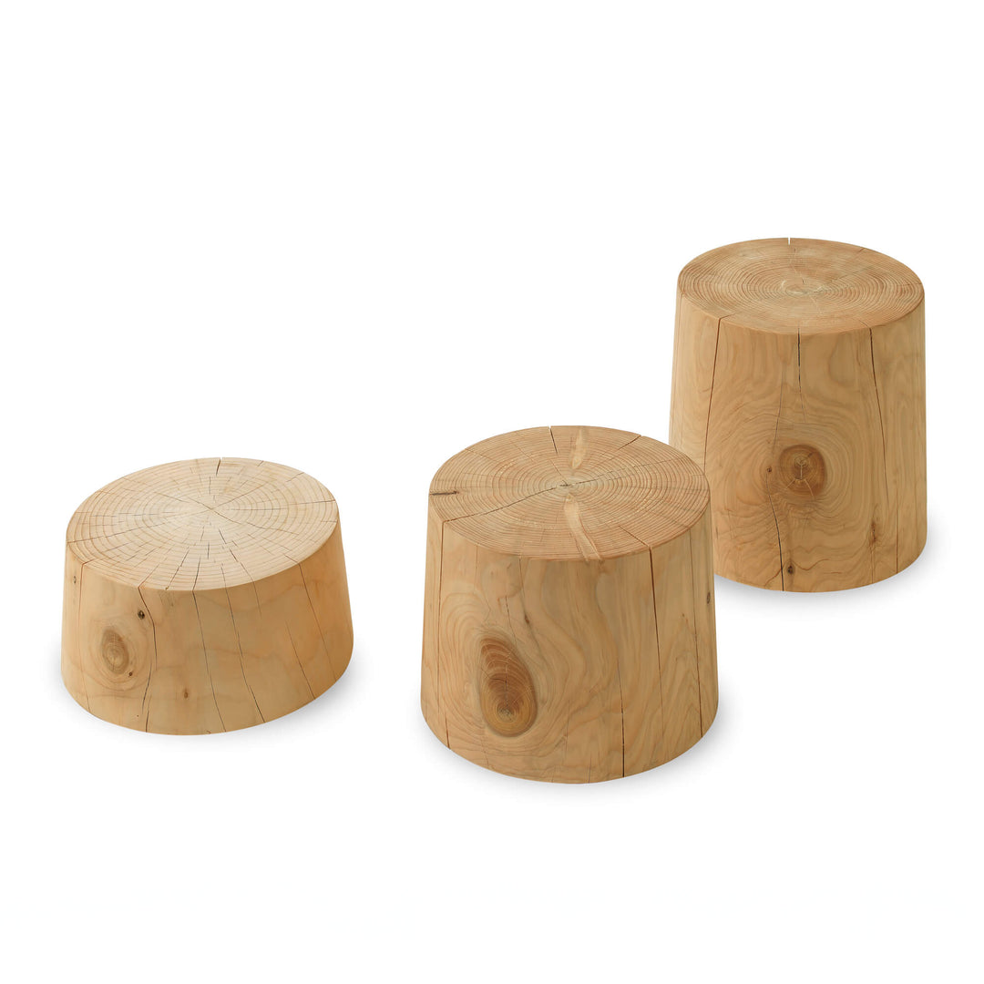 Legno Vivo Coffee Table Coffee & Side Tables Riva 1920