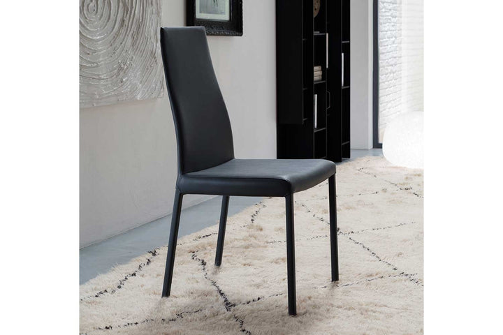 Blitz Dining Chair Dining Chairs Ozzio Italia