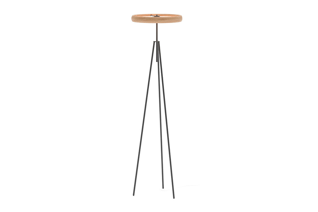 Discovery Floor Lamp Floor Lamps Ozzio Italia