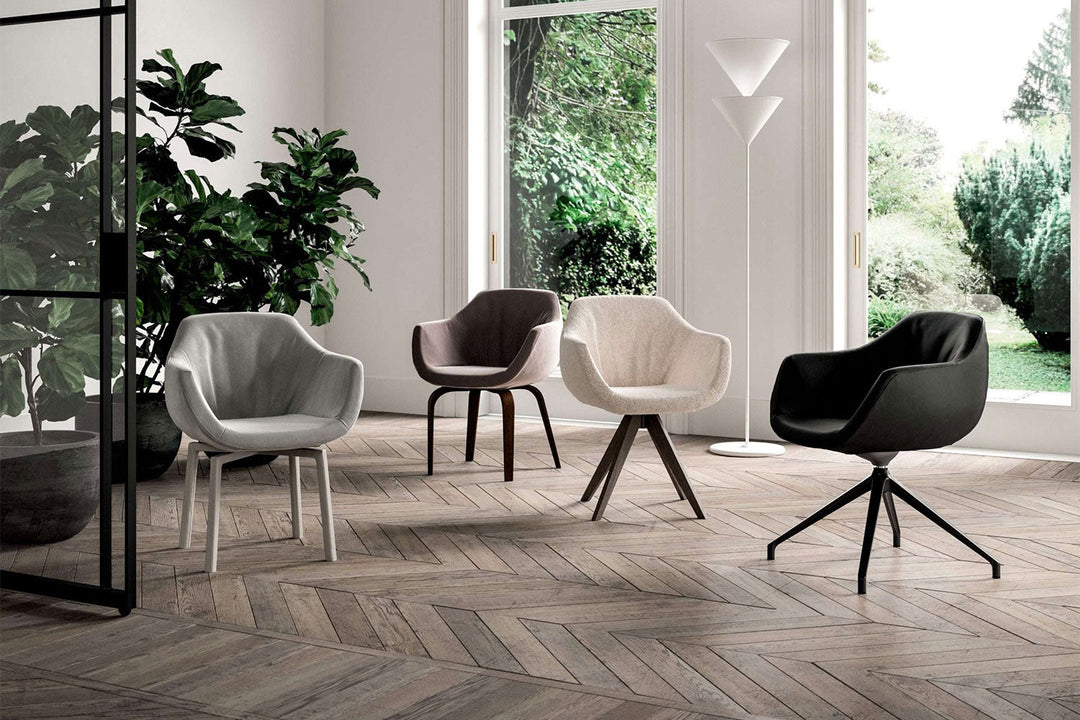 Eliot Armchair Dining Chairs Ozzio Italia