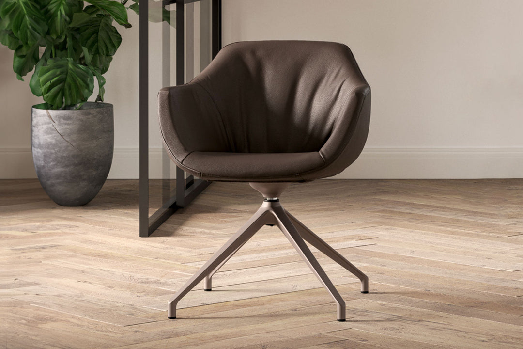 Halia Armchair Dining Chairs Ozzio Italia
