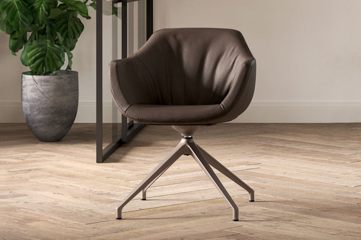 Halia Armchair Dining Chairs Ozzio Italia