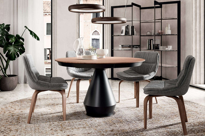 Ring Suspension Light