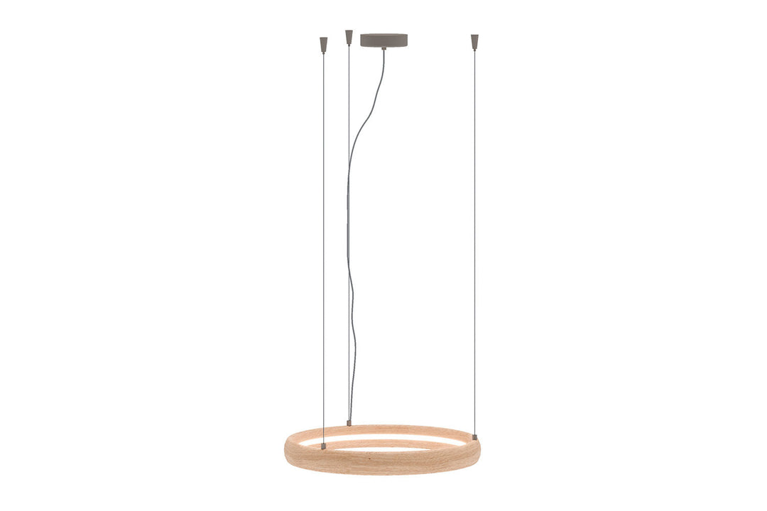 Ring Suspension Light Ceiling Lights Ozzio Italia