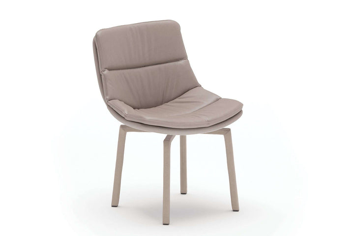 Siria Dining Chair Dining Chairs Ozzio Italia