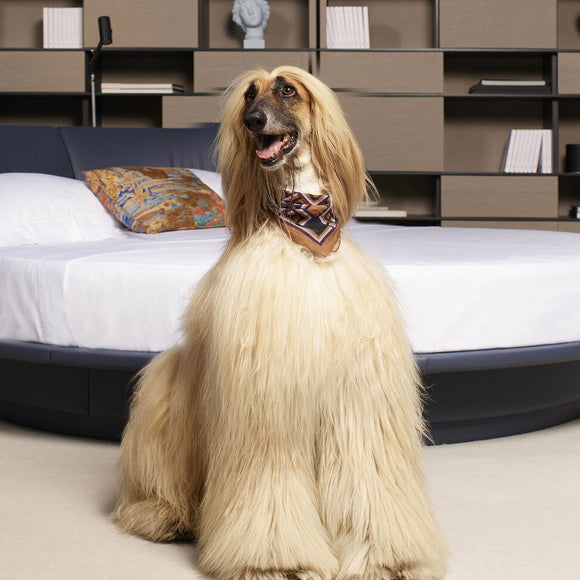 Dog Foulard Heritage Poltrona Frau