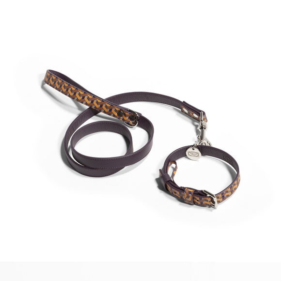 Dog Leash Poltrona Frau