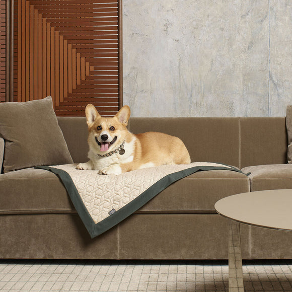 Dog Sofa Plaid/Blanket Poltrona Frau