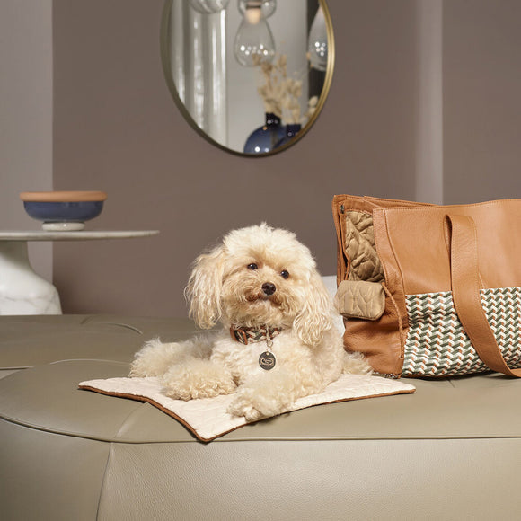 Dog Travel Mat Poltrona Frau