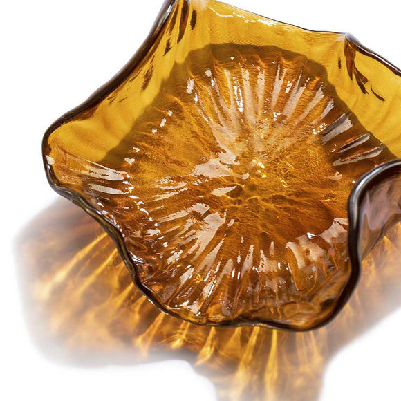 Water Illusion Bowl Decor Poltrona Frau