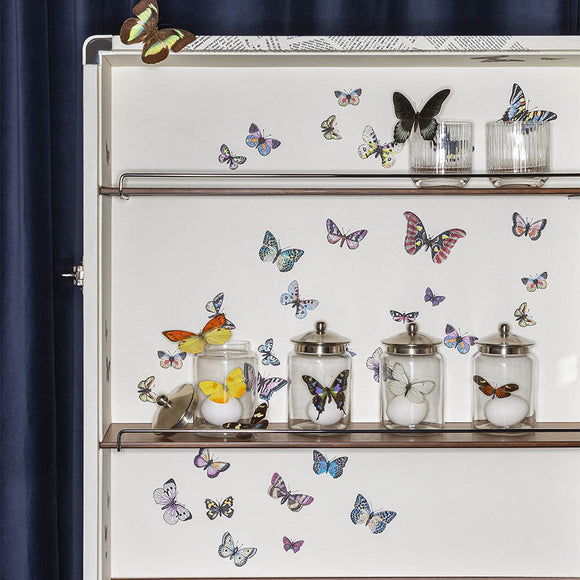 Giobagnara x Poltrona Frau Isidoro Ultime Notizie Drinks Cabinet Sideboards Poltrona Frau