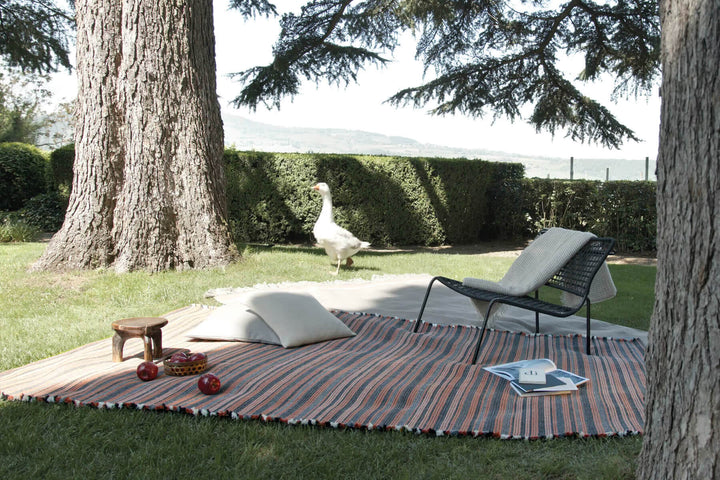 Prune Rug Rugs Amini
