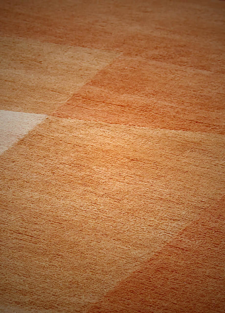 RD Shade Rug Rugs Amini