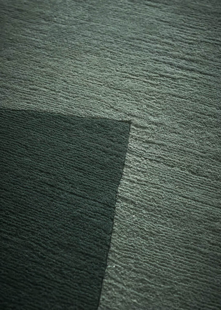 RD Shade Rug Rugs Amini