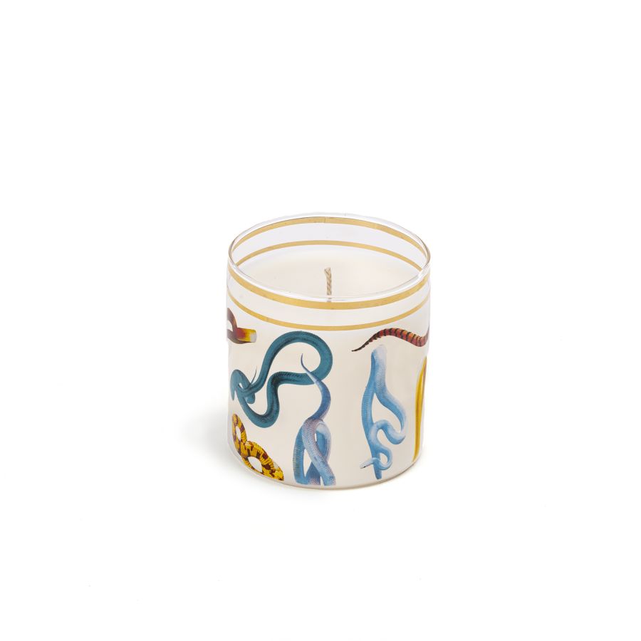 GLASS CANDLES - SCENTED CANDLES SNAKES candles Seletti   