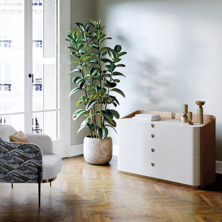 Suite Dresser Nightstands & Dressers Capital