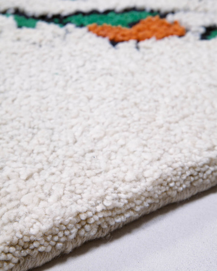Tapidrago Rug Rugs Amini