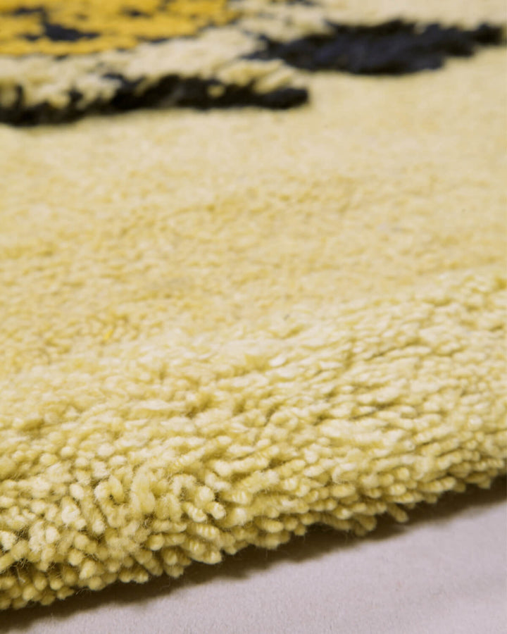 Tapileo Rug Rugs Amini