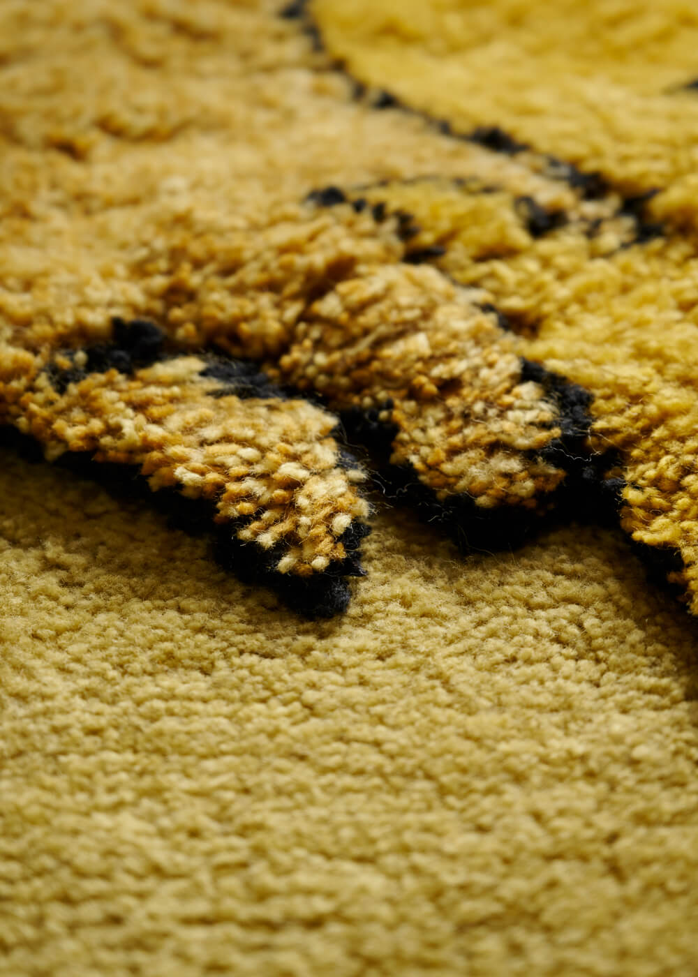 Tapileo Rug Rugs Amini