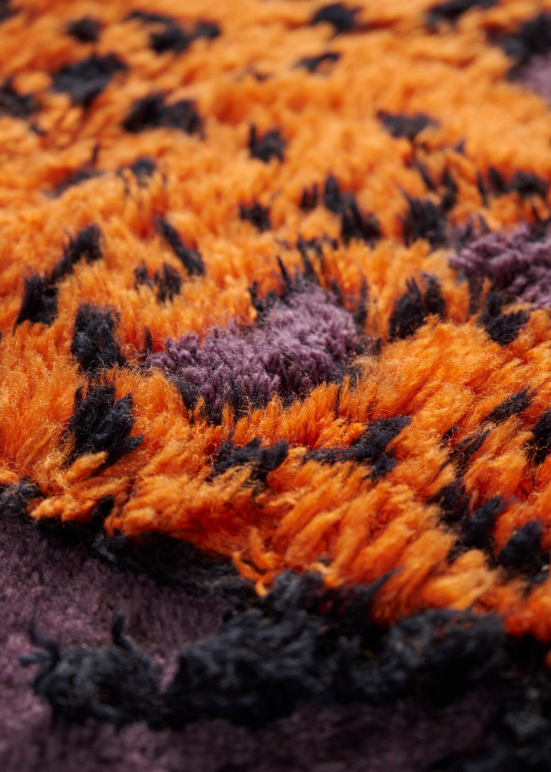 Tapipardo Rug Rugs Amini