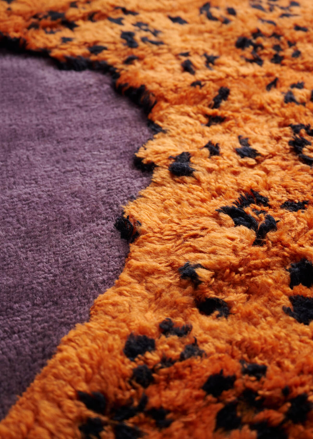 Tapipardo Rug Rugs Amini