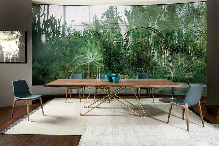 Aralia Dining Chair Dining Chairs Tonin Casa