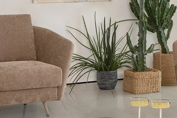 Milo Armchair Chairs Tonin Casa