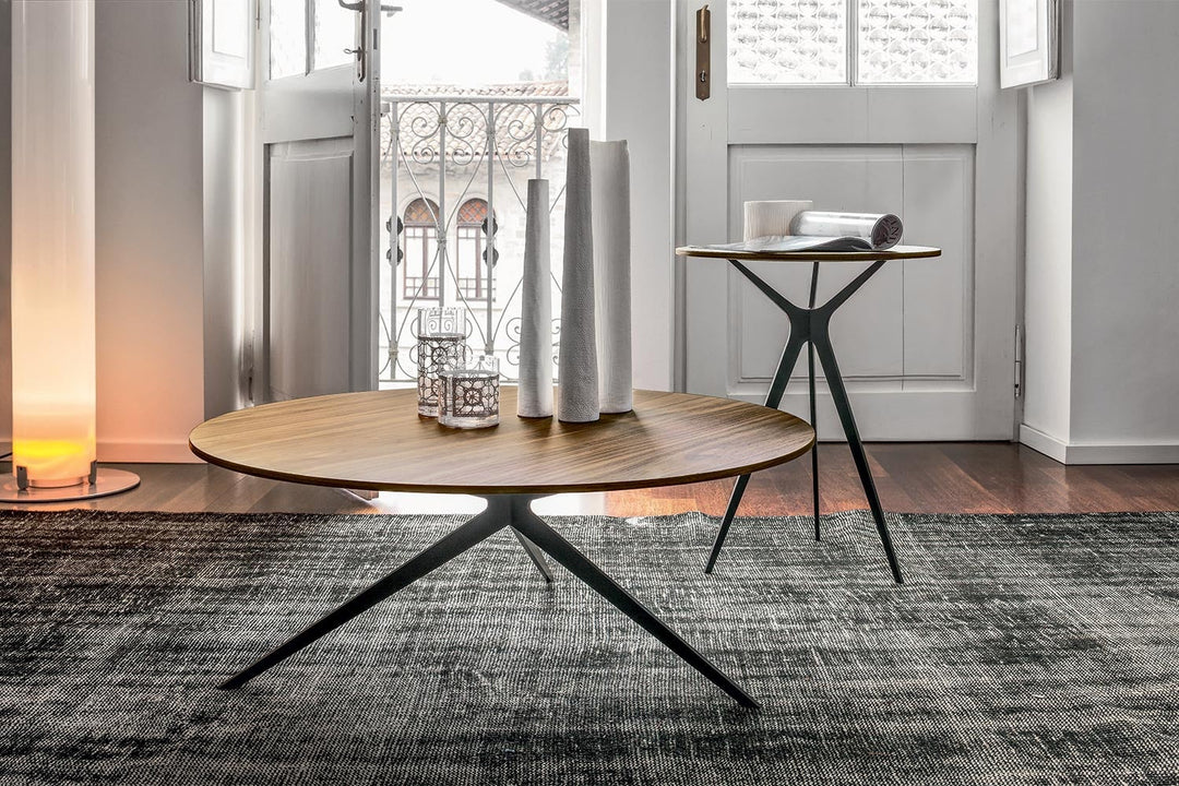 Tree Coffee Table Coffee Tables Tonin Casa