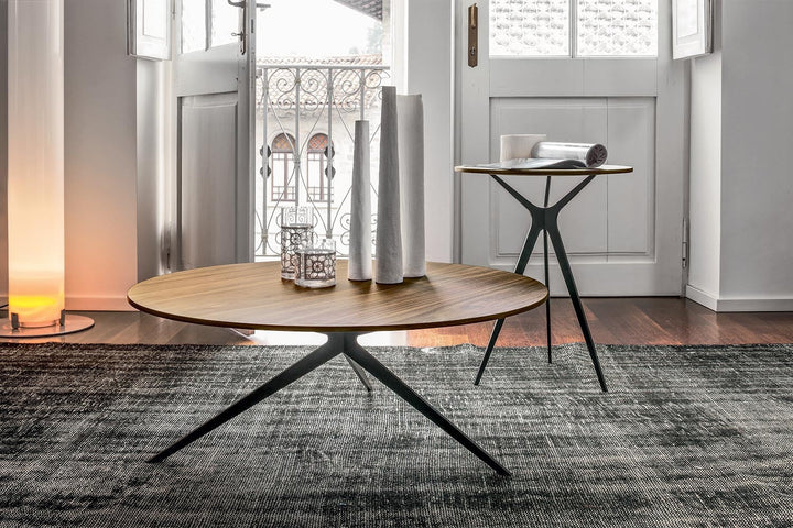Tree Coffee Table Coffee Tables Tonin Casa