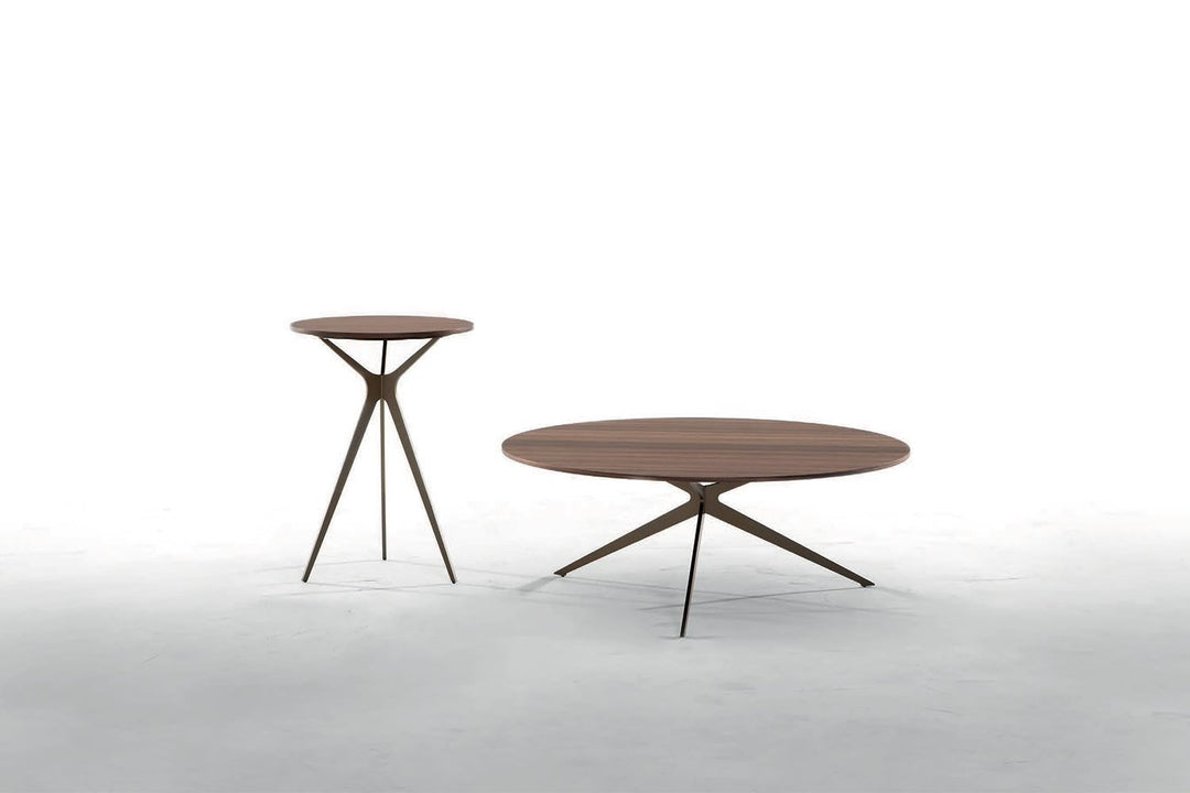 Tree Coffee Table Coffee Tables Tonin Casa