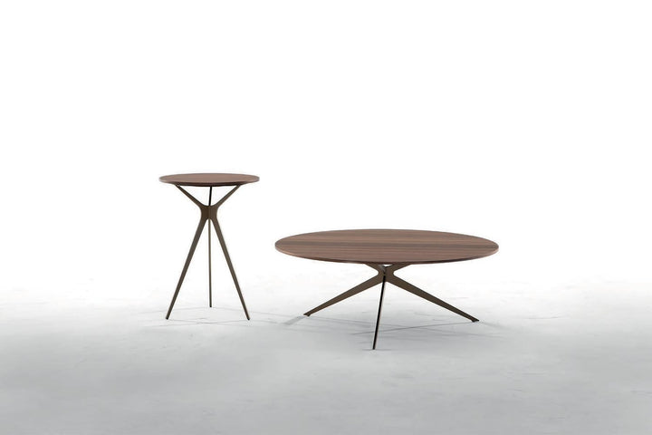 Tree Coffee Table Coffee Tables Tonin Casa