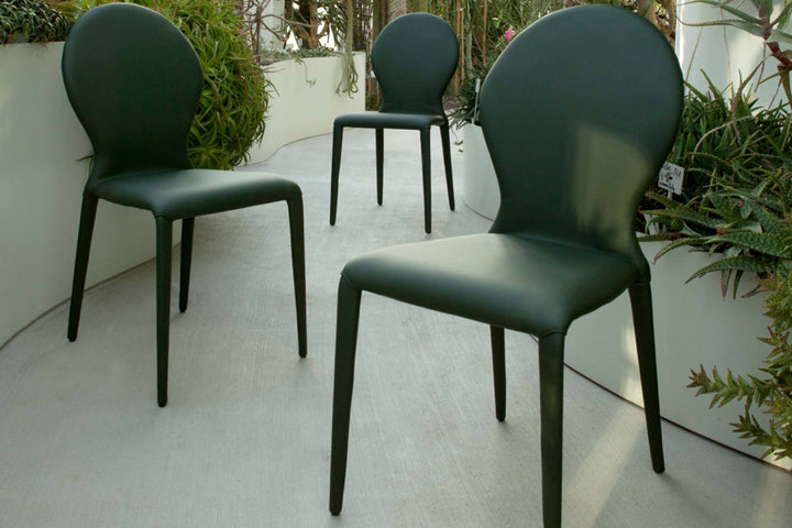 Zar Dining Chair Dining Chairs Tonin Casa