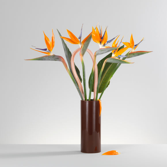 Decoupage Vase Vases Vitra