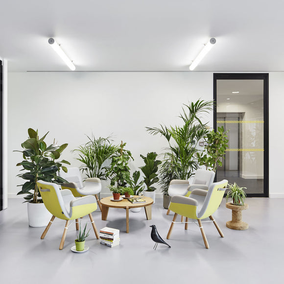 Eames House Bird Figurines Vitra