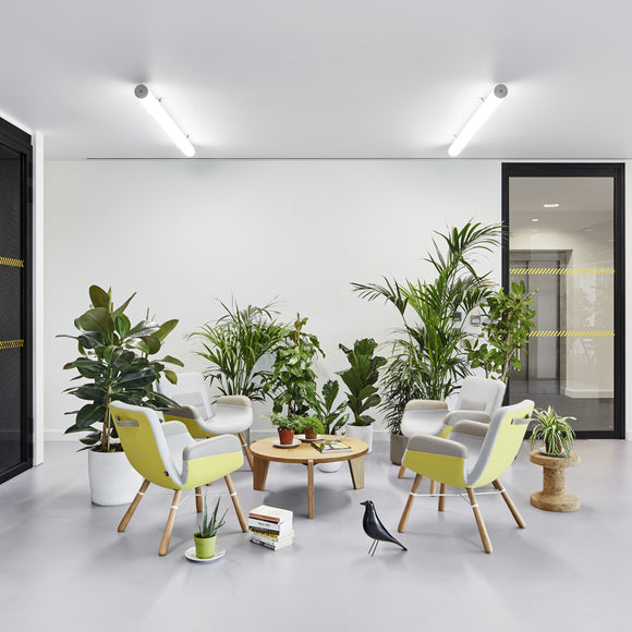 East River Chair Chairs Vitra