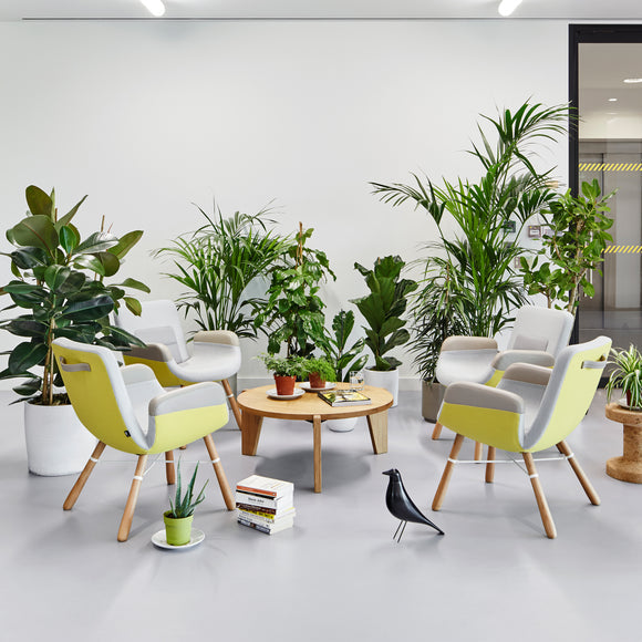 Gueridon Bas Coffee Table Tables Vitra