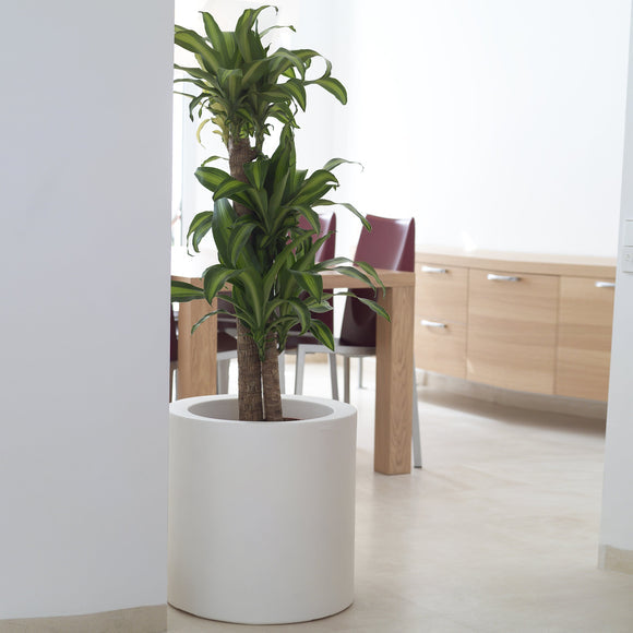 Cilindro Alto Planter Outdoor Vondom